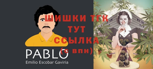 дживик Верхний Тагил