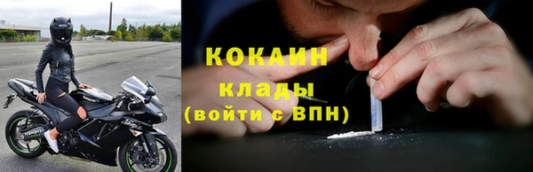 прущие грибы Зуевка