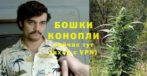 стаф Верея