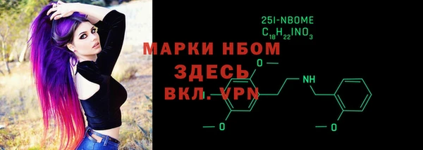 стаф Верея