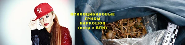 стаф Верея