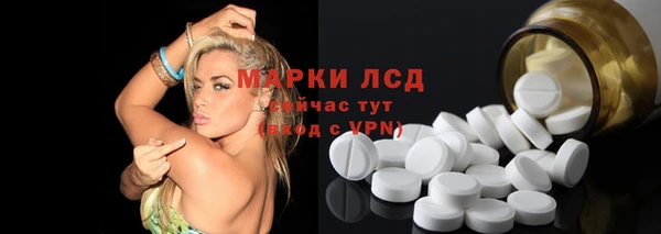 стаф Верея