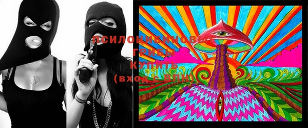 стаф Верея