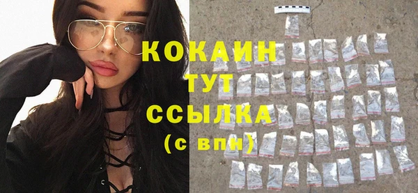 стаф Верея