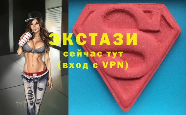 стаф Верея
