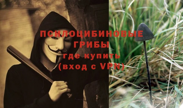 COCAINE Богородицк