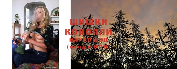 стаф Верея