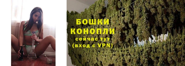 экстази Богданович