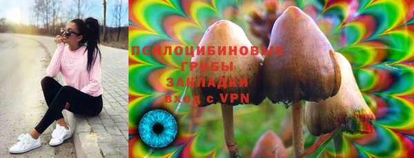 дживик Верхний Тагил