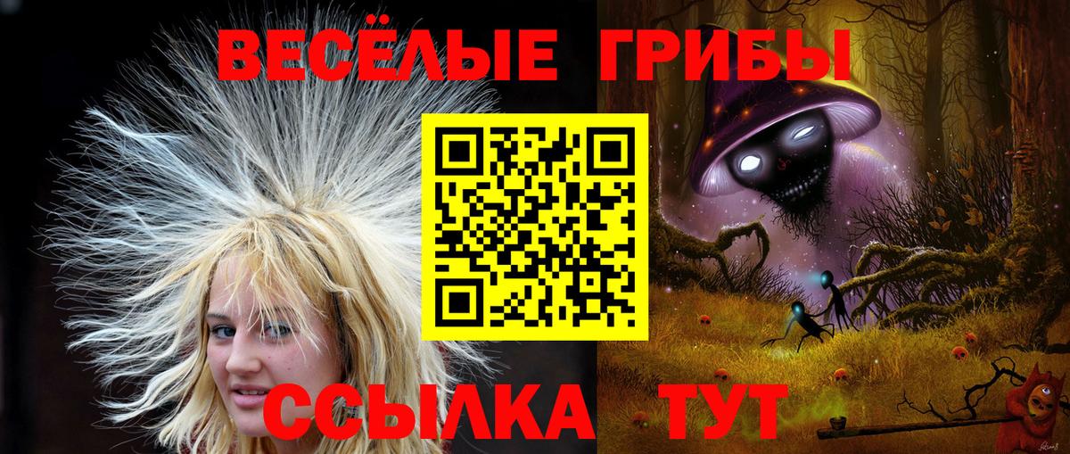 Галлюциногенные грибы MAGIC MUSHROOMS Можайск
