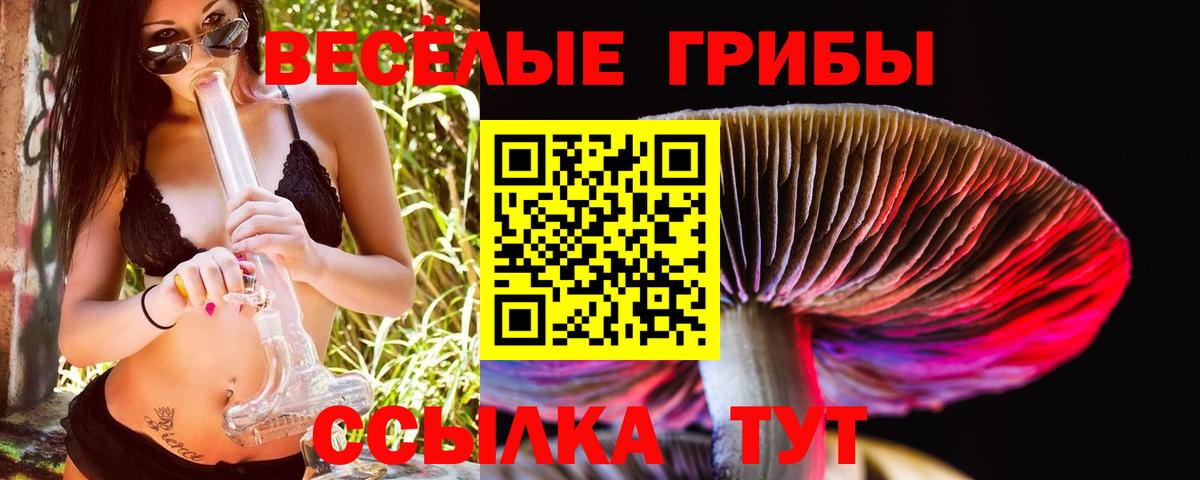 Можайск  Псилоцибиновые грибы Cubensis  Вход с VPN 